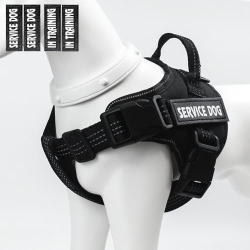 Top 10 Best Service Dog Vest Petco Reviews & Buying Guide Katynel