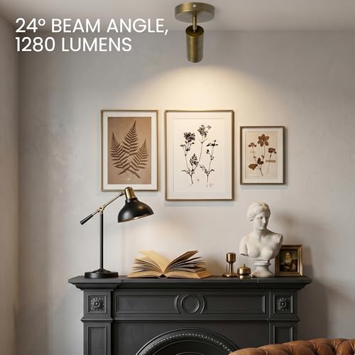 Image of 12W Bronze Dimmable Wired Ceiling Spotlight Indoor - Solid Copper
