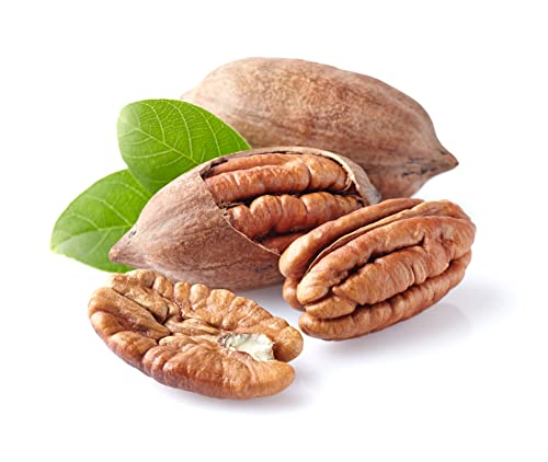 Seba Garden Pekannüsse, Pekannusskerne 1 kg, ungesalzen, natürlich glutenfrei, ohne Konservierungsstoffe, ohne Gentechnik, Keto, Paleo, vegan