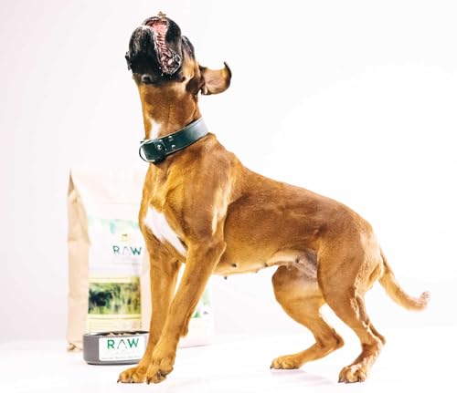 RAW Nature Trockenfutter Adult mit Ente 1kg, kaltgepresstes Hundefutter, Getreidefrei, 100% Muskelfleisch, hoher Fleischanteil, ohne künstliche Zusätze, für alle Rassen und Sensible Hunde geeignet