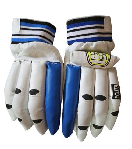 RS Batting Cricket Gloves for Youth Pack of 1 (10-14 Years) Multi-Colour for Boys (B0BR8KF6R5) Amazon Price History, Amazon Price Tracker