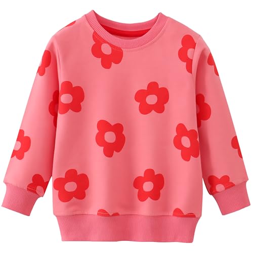 Image of AIWUHE Toddler Cotton Sweatshirt Boys Girls Pullover Long Sleeve Tops 2-6Y | Tops Blouse, Cotton T-Shirt, Fall Winter Clothes