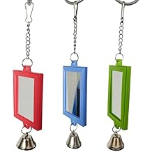 Pet Bird with Interactive Parrot for Budgies Parakeets Cockatiels Conures Lovebirds Cage for Play Toy