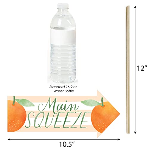 Big Dot Of Happiness Funny Little Clementine - Orange Citrus Baby Shower Or Birthday Party Photo Booth Props Kit - 10 Piece #TOP2