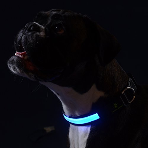 Lampadina a LED collare per cani, ricaricabile