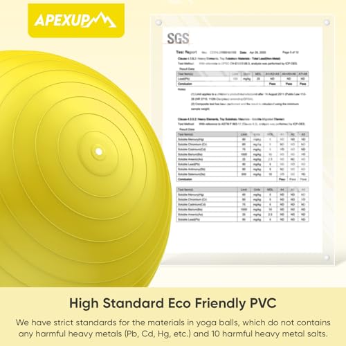 Image of APEXUP Yoga Ball, 660 lbs Anti-Burst Exercise Ball with Pump, 5 Sizes | Anti-Burst, Anti-Slip, SGS Certified, Strengthens Core, Improves Balance & Posture, Boosts Flexibility & Stability