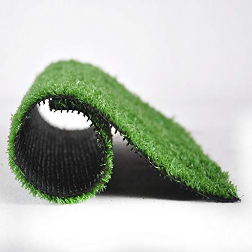 WJ Césped Artificial de la Alfombra Césped Falso Plástico Jardín de Infancia Decoración de la Escuela Hierba Falsa (Color : T 2cm, Size : 2 * 4m)