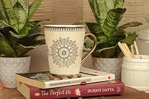 Femora Ceramic Golden Satire Coffee Mug, Ceramic Tea Cup (Set uof 1) -330 ML (Not Microwave Safe)