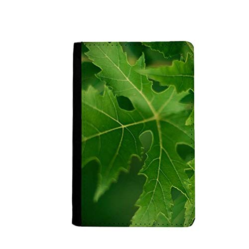 Étui passeport de voyage compact pour protéger vos documents importants