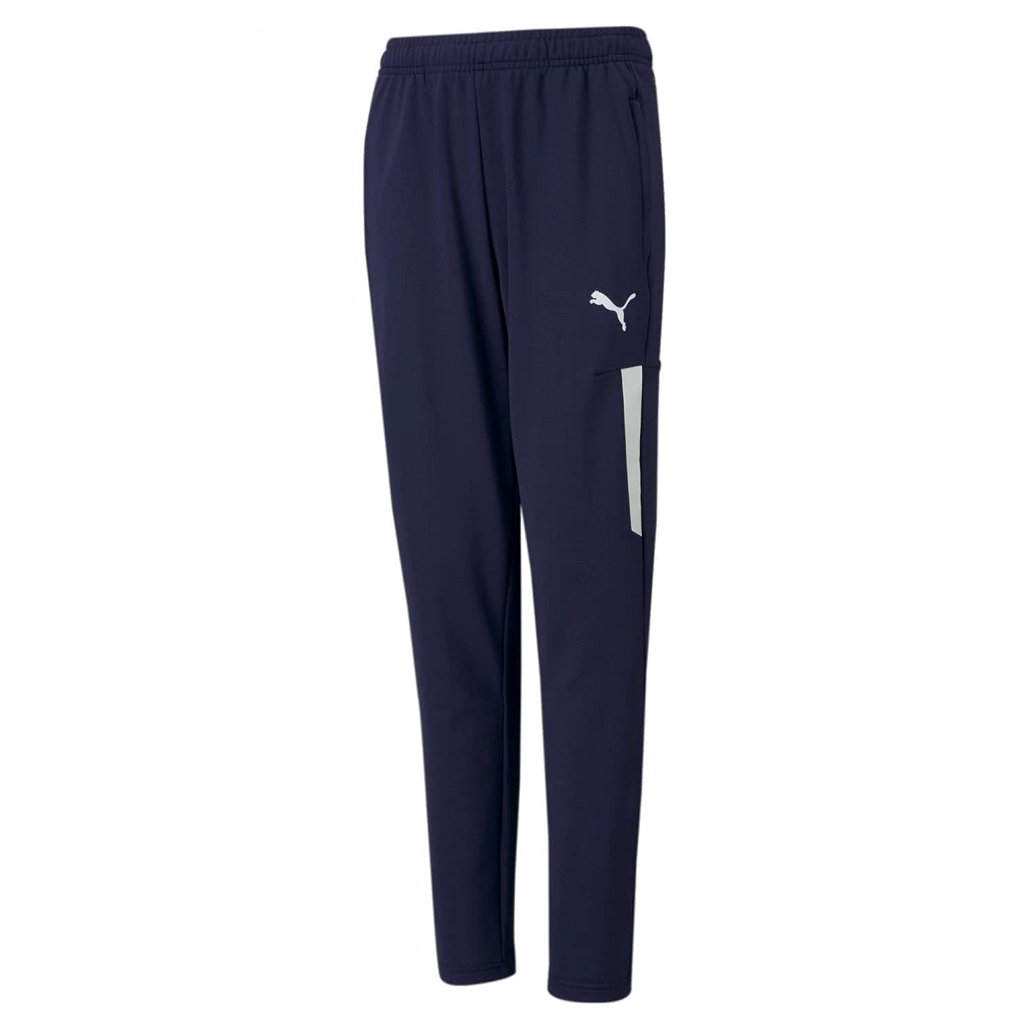 PUMA teamLIGA Training Pants Pro Jr