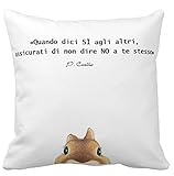 Pillow pillow