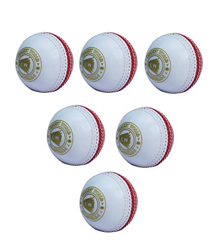 CW Spin Cricket Poly Soft Practice Balls (Pack of 6)