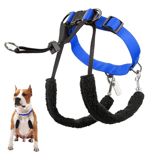 Original Sporn Halter - Medium Size No Pull Dog Harness for Large Dogs That Pull - Adjustable, Lightweight & Anti-Choke Dog Halter Harness for Training & Walking Strong Pullers, M, Blue