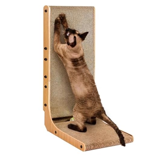 EHEYCIGA Kratzbrett für Katzen
