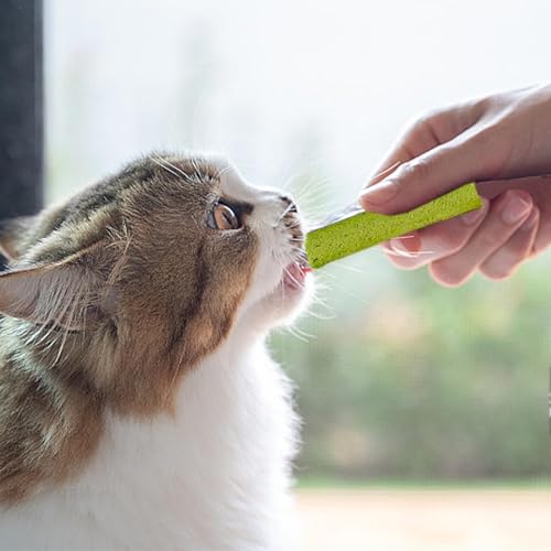 Hierba para gatos en palitos para el bienestar digestivo en el hogar 4