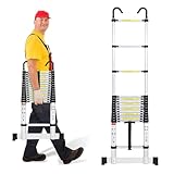 Cecaylie Escalera telescópica de Aluminio Multiusos de 4,4 m con 2 Ganchos extraíbles, diseño telescópico, Capacidad de Carga de 150 kg/330 Libras, Escalera de Tijera Antideslizante, Color Plateado