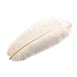 TG,LLC Treasure Gurus White Ostrich Plume Feather Pirate Steampunk Fancy Victorian Hat Feathers Plumes