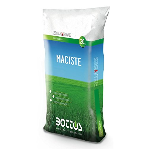 Bottos Maciste - Sementi per prato