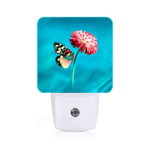Image of Butterfly Pink Flower Night Light,Plug-in Night Lights with Dusk-to-Dawn Sensor for Stairway,Hallway,Bedroom Sleep Friendly Ideal for Women /Girls /Boys Gift,0.5w