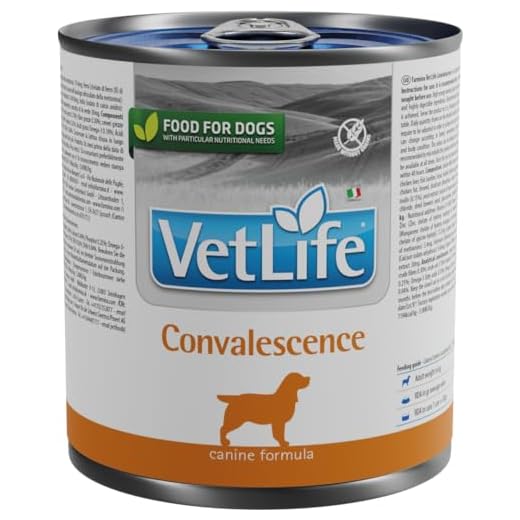 VET LIFE WET CAO CONVALESCENCE.300G