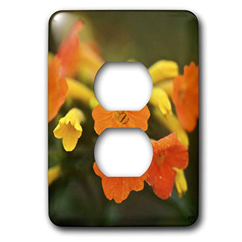 Fleurs colorées plaque double prise pour masquer les fixations électriques ternes - 2