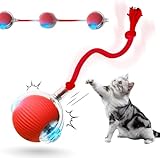 caniche toy à vendre québec 🐶🐱 【Énergie automatique pour animaux de compagnie】 Ce jouet à bille roulante est le divertissement ultime pour vos amis à fourrure. Appuyez simplement sur un bouton pour le voir se déplacer seul, encourageant chiens et chats à jouer de manière interactive sans effort. Observez votre compagnon rester actif, en bonne santé et plein de vitalité.