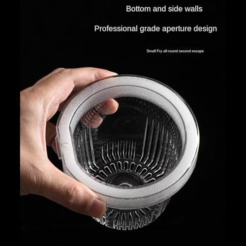 Incubadora de cría para acuario con vaso de aclimatación transparente para betta 6
