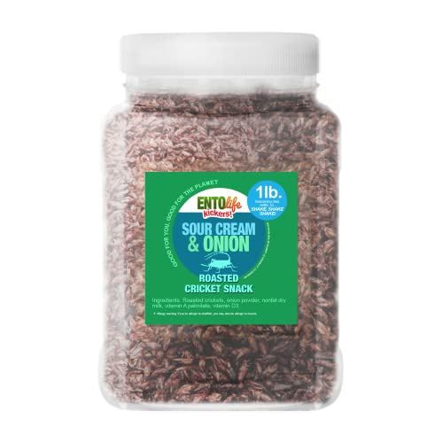 Sour Cream & Onion Roasted Edible Crickets - Pound Size - Pound Size - Crickets you can eat - Farm raised for human consumption, 16 Ounce