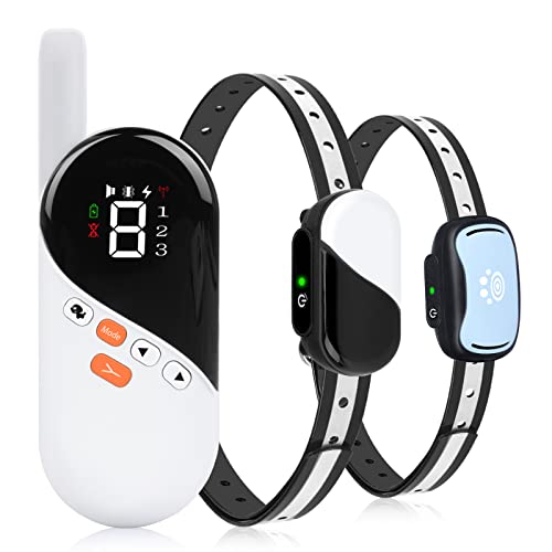 Top 10 Best Shock Collars For Cats Reviews & Buying Guide Katynel