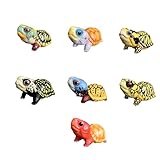 動物惑星 ハコガメ フィギュア カメ 亀 10.5CM級 カメ目 ニシキハコガメ ユカタンハコガメ フロリダハコガメ爬虫類 情景セット 樹脂 可愛い おもちゃ リアル 動物好き オリジナル 模型 (7点セット)