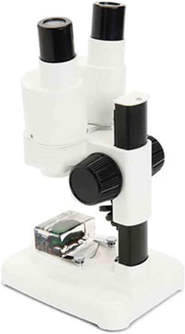 Celestron – Celestron Labs – Binocular Stereo Microscope – 20x Magnification – Upper LED Illumination – Includes 2 Specimens