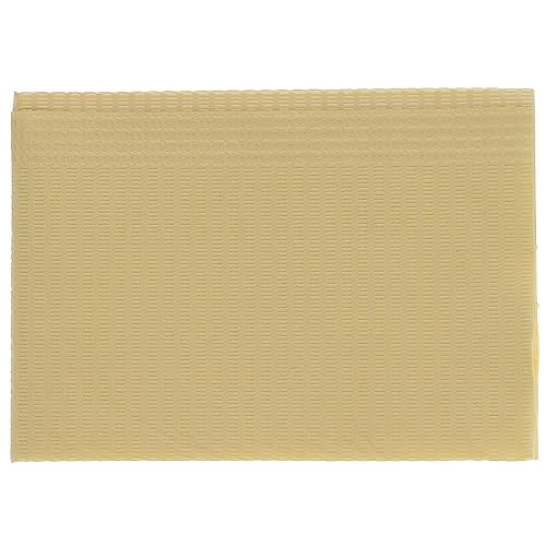 House Brand Dentistry 109219 Dental Patient Bibs 2+1 Ply 13