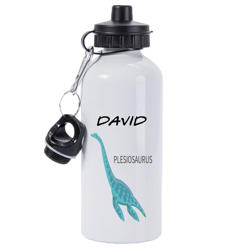 Pickhut Personalised Dinosaur Water Bottle 600ml Back to School Gift for Kids (Plesiosaurus)