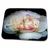 Bathroom Bath Rug Mat - Pure Bliss Rose Flower iloveFlowers Photography