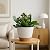 TYMENSH Plant Pots 12/10/9 inch Set of 3, Self Watering Flower Pots Indoor Outdoor, Planters with Drainage Hole Saucer Reservoir, White