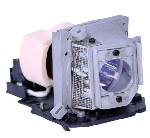 Lampe projecteur EC.J6900.001 idéale pour réussir vos réunions sur ACER P1266i