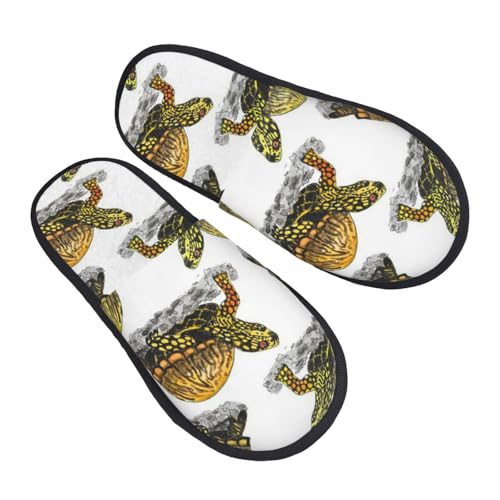 AJnRK Xbp ~ H  Y fB[X p qp E  g yĖՂɋ_炩 􂢂₷A^тɕ֗ jp L