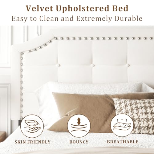 Queen Size Bed Frame, Queen Size Platform Bed Frame with Upholstered Button Tufted Headboard, Strong Wood Slats, No Box Spring Needed, Mattress Foundation, Easy Assembly Beige - Image 6