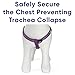 Pawtitas Reflective Step in Dog Harness or Reflective Vest Harness, Comfort Control, Training Walking of Your Puppy/Dog Extra Small Dog Harness XS Purple Orchid Dog Harness