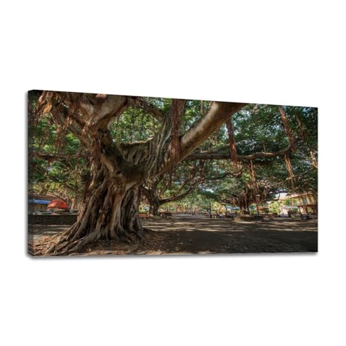 24"x 48" Canvas Wall Art Banyan Tree Lahaina Maui HI Framed Pictures Painting Print Large Wall Art for Living Room Bedroom Abstract Home Wall Decor Artwork