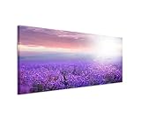 Paul Sinus Art 150x50cm Leinwandbild auf Keilrahmen Lavendel Feld Sonnenuntergang Sommer Wandbild auf Leinwand als Panorama