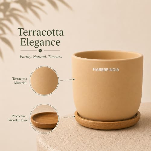 Image of Habere India-All the Cultures Fabricating India Plant Pot with Wooden Plate | Flower Pots for Dining Table & Home Decor | Terracotta Pot for Living Room Decoration (Beige, Dia11 x H10 cm)
