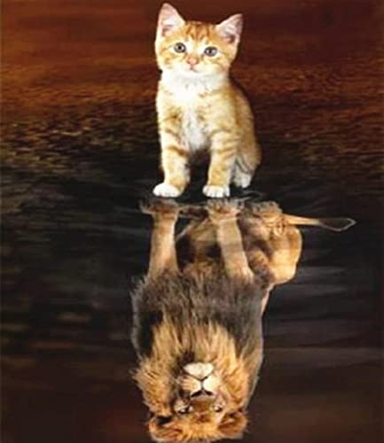 Kit d'art diamant de chaton et lion pour décorer le salon et se détendre à la maison