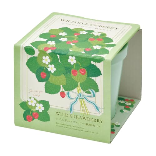 ＩＴＡＮＳＥ 栽培セット サンクスガーデン ワイルドストロベリー 1個売り【品種で選べる栽培キット】室内育成可能！かわいいポット付。これひとつで栽培可能。お気軽家庭菜園。実がついたらそのまま食べられます。