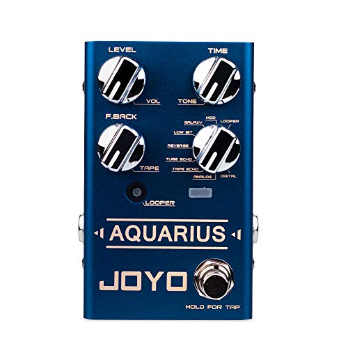 Joyo Digital Delay Effect Pedal With Looper (5 Minutes) R Series 8 Digital Delay Effects For Electric Guitar (Aquarius R-07) #TOP1