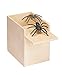 The Paragon Spider Surprise - Scare Box, Hilarious Practical Joke Money Box