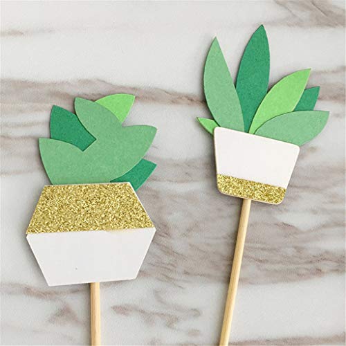 Janou Cactus Cupcake Toppers Fiesta Cake Toppers Picks Succulents Decor For Birthday Wedding Summer Luau Party Favors Pack 12Pcs #TOP6