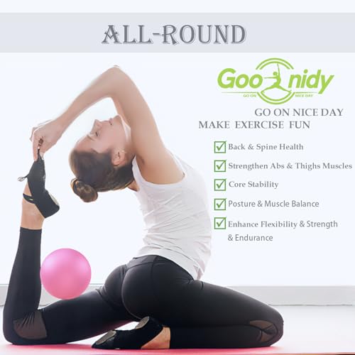 Image of PL-0003 Soft Exercise Ball, Anti-Burst Yoga Ball Chair Supports 2200lbs PL-0003