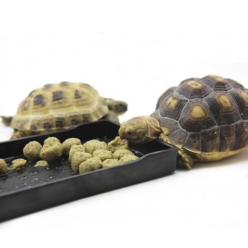 OMEM Reptile Bowl Large Food and Water Dish Enough Space Also Fit for Bath Simulated Wood Grain Surface (S, Black)