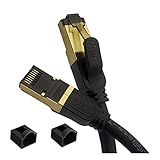 REULIN Ethernet Kabel 11M - Plug & Play Cat8 LAN Kabel TP 40G RJ45 Netzwerkkabel So verbinden Sie den Modem Router Hub mit Smart Tv, Ethernet Splitter, Gigabit Switch, Gaming Für Zuhause/Büro (11M)
